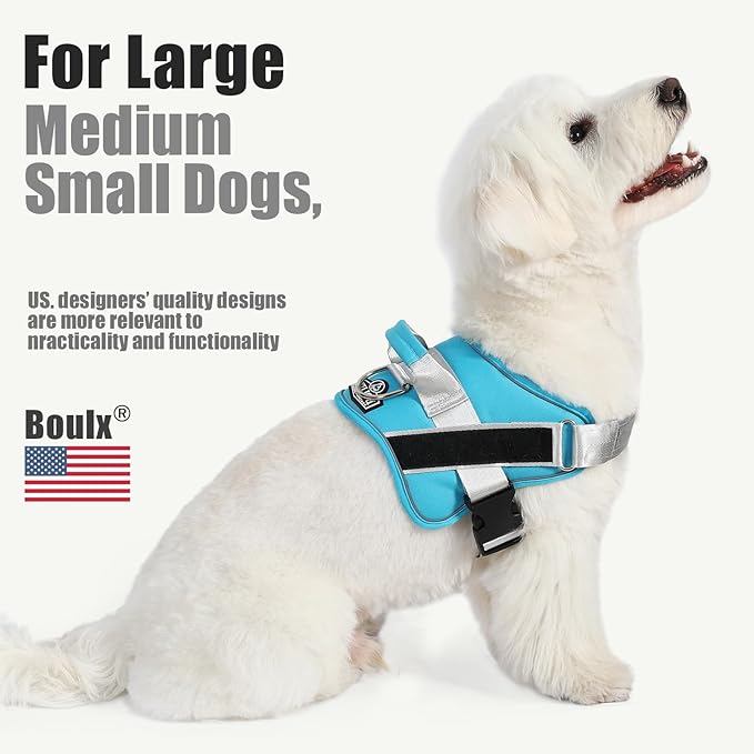 Bolux Dog Harness, No-Pull Reflective Dog Vest, Breathable Adjustable Pet Harness with Handle for Outdoor Walking - No More Pulling, Tugging or Choking (OceanicBlue, Small (Pack of 1))-PawvioPets