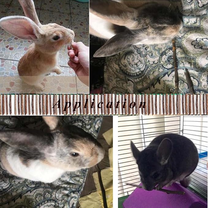 500g Apple Sticks Small Animals Molar Wood Toys for Rabbits Chinchillas Guinea Pig Hamster Gerbil Bunny and Small Animal Chew Stick Toys-PawvioPets