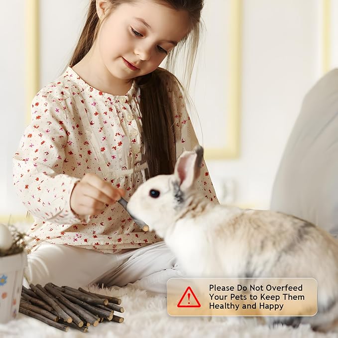 600g Organic Apple Sticks Small Animals Molar Wood Treats Toys for Chinchillas Guinea Pig Rabbits Hamster Gerbil Parrot Bunny Chew Stick Toys, 21.2 OZ-PawvioPets