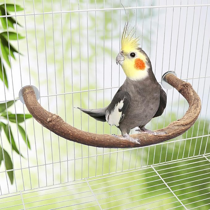 2 Pack Bird Perch Stand, Natural Wood U Shape Parrot Stand Pole, Bird Cage Accessories, Suitable for Small to Medium Birds Parakeets Cockatiels Budgie Lovebirds-PawvioPets