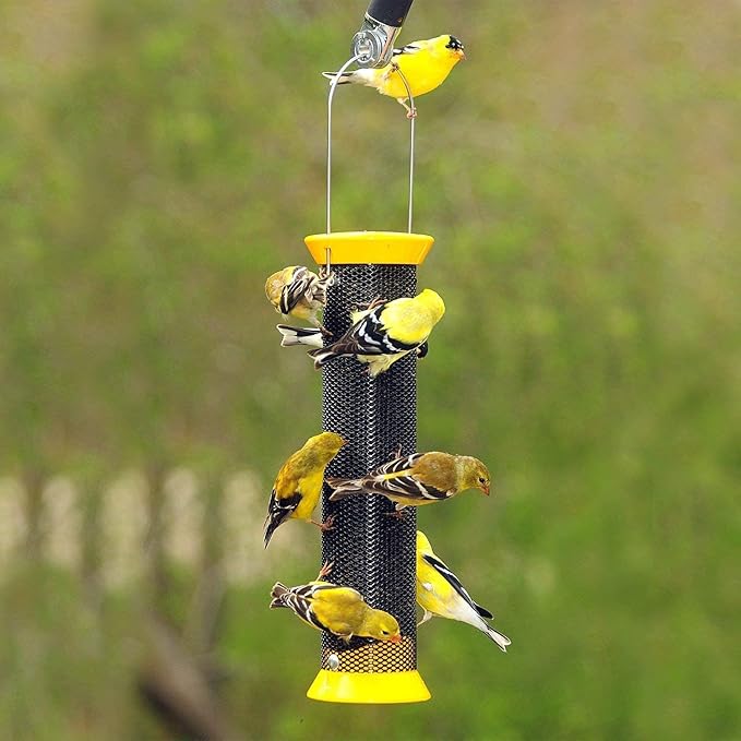 Backyard Seeds Thistle Bird Seed for Finches 50 Pounds-PawvioPets