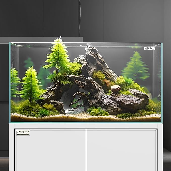 21 Gallon Rimless Aquarium Tall Tank, Ultra Clear Low Iron Big Fish Tank, L15.8×W15.8×H19.7 Glass Thickness 6mm with EVA Foam Leveling Mat-PawvioPets