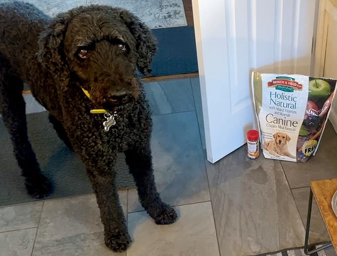 Bench & Field Holistic Natural Adult Dry Dog Food, Chicken Meal and Brown Rice Recipe 12 lb Bag (Pack of 2)-PawvioPets