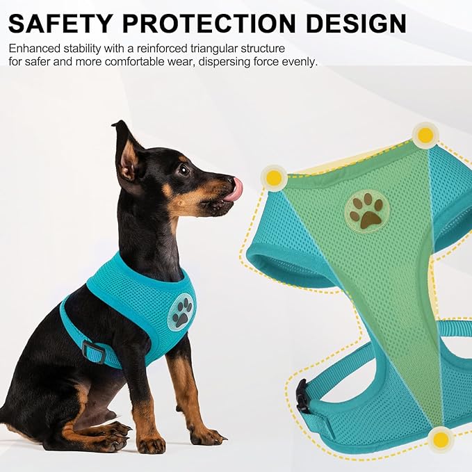 BINGPET No Pull Dog Harness,All Weather Mesh Step-in Vest Harness for Small Dogs,Breathable Mesh Puppy & Cat Harness-PawvioPets