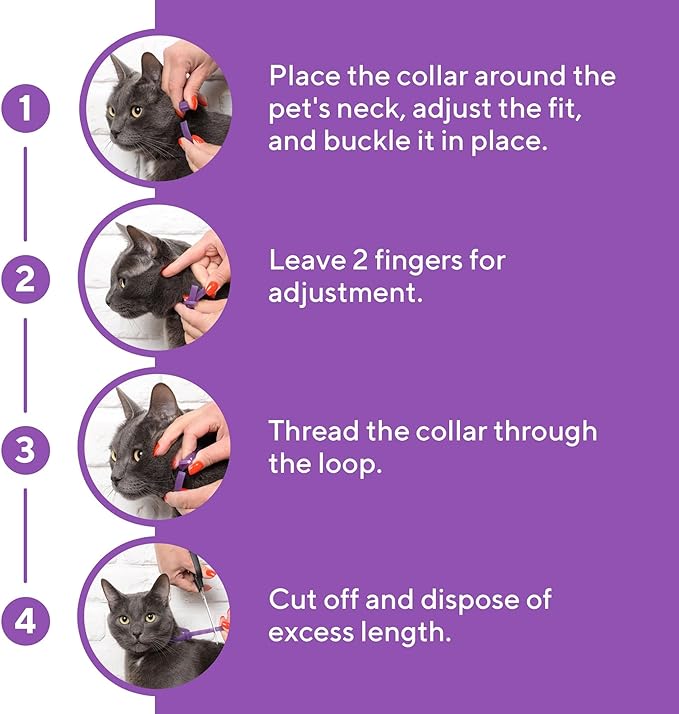 Cat Calming Collar & Pet Anti Anxiety Products - Feline Calm Pheromones Collars & Cats Stress Relief - Relaxivet Comfort Helps with Pee, New Zone, Aggression, Fighting with Dogs & Other Behavior-PawvioPets