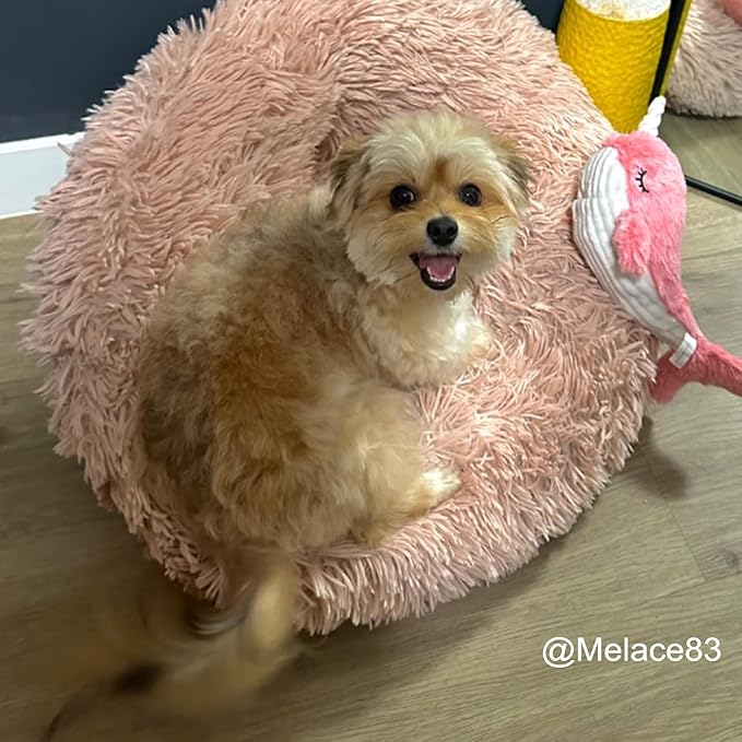 BABORUI Interactive Dog Toys Whale, Squeaky Dog Toys, Rechargeable Moving Dog Chew Toys for Small/Medium/Large Dogs/Puppy to Keep Them Busy (Pink)-PawvioPets