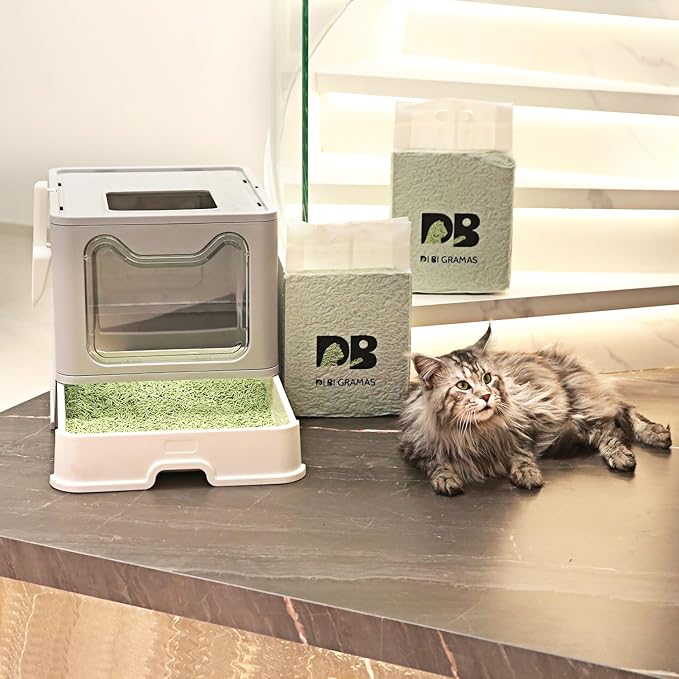 Cat Litter 12LB/2 Packs Dust-Free Clumping Tofu Cat Litter Quickly Absorb Odors Toilet Can Flush Into The Toilet Pure Natural tofu cat Litter (Green Tea)-PawvioPets
