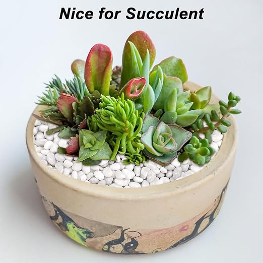 Aquarium Gravel,Landscaping Pebbles, Decorative Ornamental Pebbles Garden,Landscaping Stones Gravel Filler for Home Decoration Flower Bed Fish Tank Plants Vases Succulents (10 Pounds, White)-PawvioPets