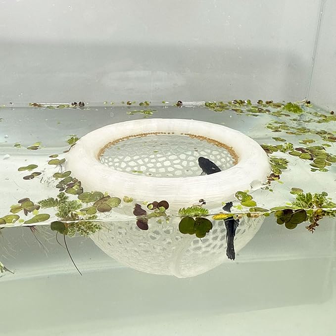 Aquarium Floating Betta Fish Skins, Betta or Shrimp Feeder, Cave and Hammock, Small Fish Feeding Rings, Aquarium Hiding Feeding Decorative Accessories (Translucent Color)-PawvioPets