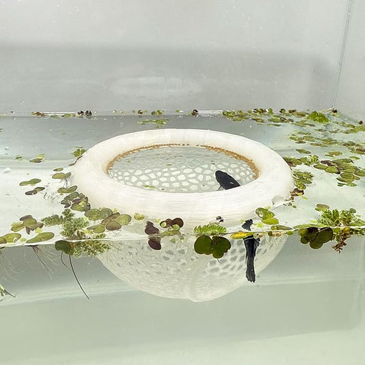 Aquarium Floating Betta Fish Skins, Betta or Shrimp Feeder, Cave and Hammock, Small Fish Feeding Rings, Aquarium Hiding Feeding Decorative Accessories (Translucent Color)-PawvioPets
