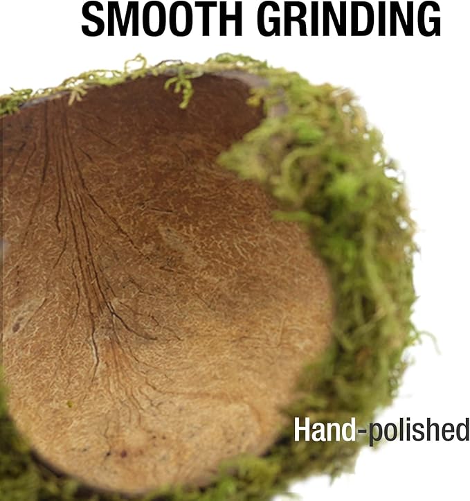 Coconut Hamster Hideout Hamster House Gerbil Cage for Small Animals with a Bundle of Apple Sticks a Carrot (Green)-PawvioPets