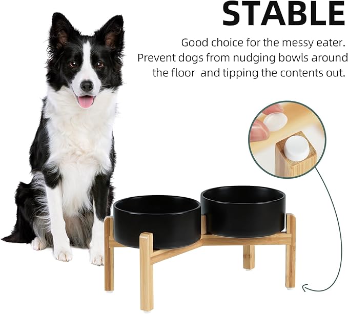 Ceramic Raised Double Bowls Set with Stand, Food & Water Bowls for Medium Breed Dogs, Weighted Dog Dishes, Pet Bowl(7.3'',41OZ, Black)-PawvioPets