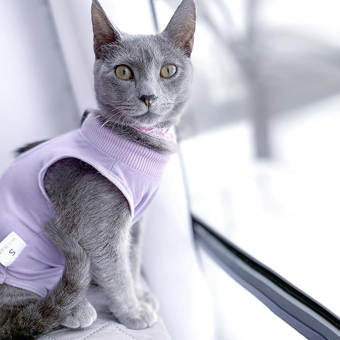 DOTON Cat Recovery Suit for Male and Female Surgical Post Surgery Soft Cone Onesie Shirt Clothes Neuter Licking Protective Diapers Outfit Cover Kitten Spay Collar(M, Purple)-PawvioPets