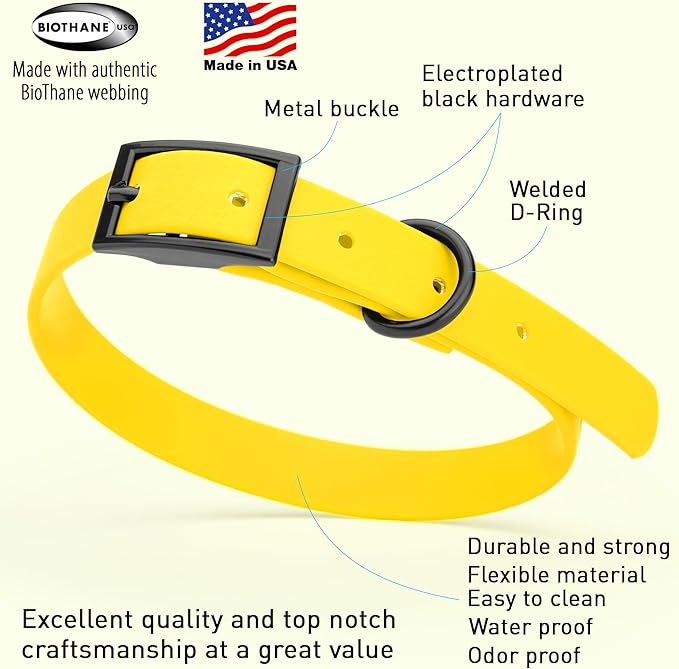 Dogline Biothane Waterproof Dog Collar Strong Coated Nylon Webbing with Black Hardware Odor- Proof for Easy Care Easy to Clean High Performance Fits Small Medium or Large Dogs, Lemon Yellow-PawvioPets