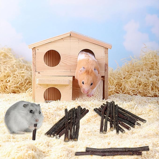 600g Apple Sticks Small Animals Wooden Pet Chew Treats Toys for Guinea Pigs Hamsters Rabbits Chinchillas Squirrels Small Animal Molar Wood Treats Toys-PawvioPets