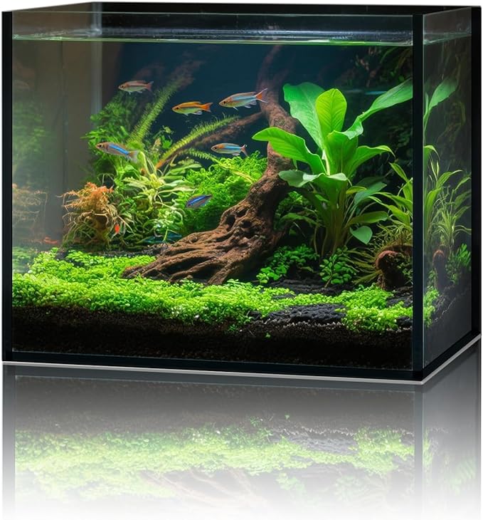 2.6 Gallon Glass Fish Tank Cube, Small Aquarium Fish Bowl for Betta Goldfish Snails Shrimp Aquatic Planting, Easy to Maintain Ultra Clear Rimless Design for Desktop Small Spaces-PawvioPets