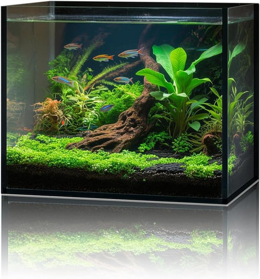 2.6 Gallon Glass Fish Tank Cube, Small Aquarium Fish Bowl for Betta Goldfish Snails Shrimp Aquatic Planting, Easy to Maintain Ultra Clear Rimless Design for Desktop Small Spaces-PawvioPets