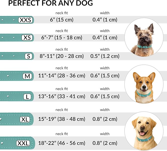 CollarDirect Rolled Leather Dog Collar, Soft Padded Round Puppy Collar, Handmade Genuine Leather Collar Dog Small Large Cat Collars 13 Colors (11-14 Inch, Mint Green Textured)-PawvioPets