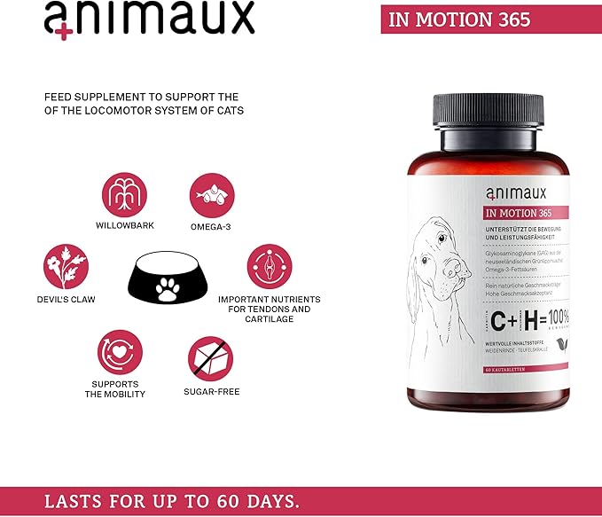 animaux – in Motion 365 for Dogs, Joints, Bones, Mobility, Ligaments and Tendons, Green-Lipped Mussel, Willow Bark and Devil’s Claw, Natural Pain Relief, 60 Chewable Tablets, 60 Days Supply-PawvioPets