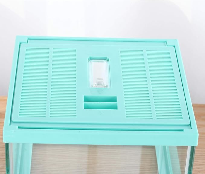 crapelles Reptile Terrarium Tank, Snail Jumping Spider Enclosure, Tarantula Insect Pet Box, Vivarium Tank for Hermit Crab Cricket Gecko Frog, Small Tortoise Habitat Cage (7.8x7.8x5.9 Inches) Green-PawvioPets