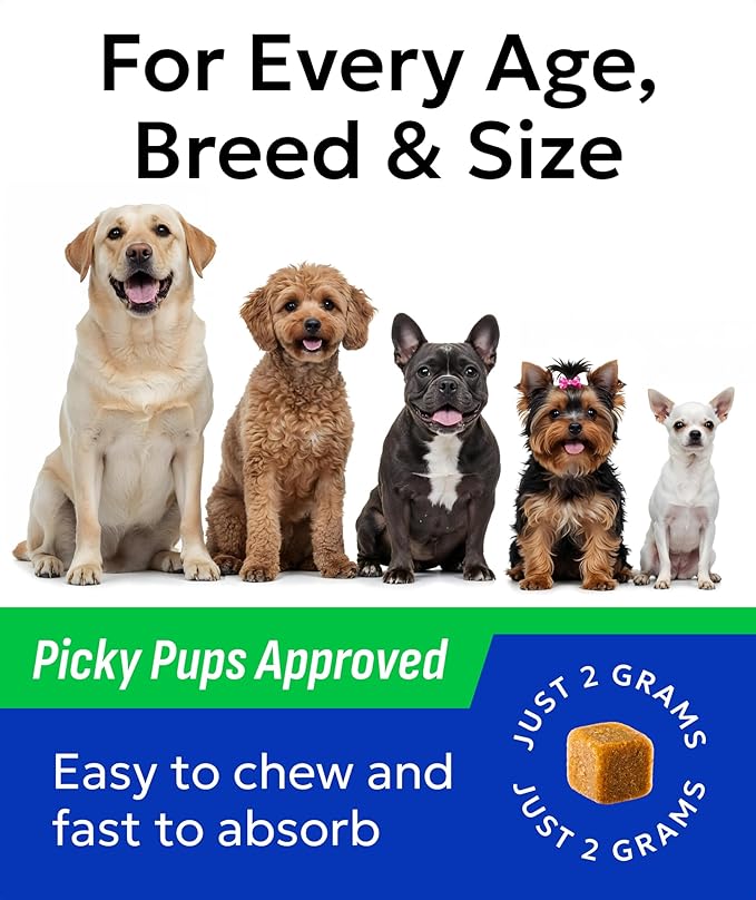 BARK&SPARK Dog Probiotics for Digestive Health w/Enzymes - Diarrhea Gas Treatment Upset Stomach Relief - Allergy & Itchy Skin - Pet Probiotics for Dogs - Digestion Supplement Treat (120Ct Chicken)-PawvioPets