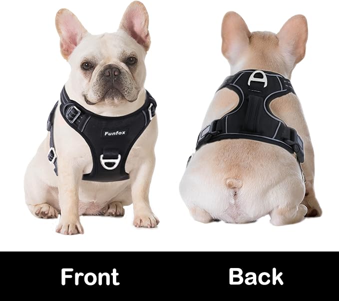 Funfox Dog Harness No Pull, Adjustable Dog Vest Harness Super Soft, 2 Leash Clips Anti Pull, Vertical Handle Easy to Control, Reflective Night Walking for Large Breed, Black, L-PawvioPets