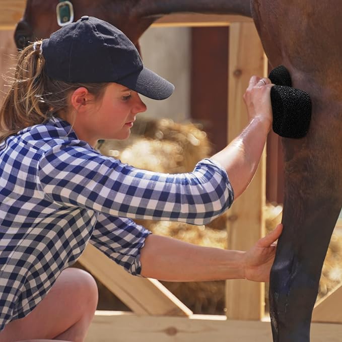 Eaasty 3 Pcs Horse Groomer Sponge Scrubber Massager Horse Grooming Brush Kit Supplies Large Soft Care for Cleaning Washing Bathing, Black, 4.33 x 7.87 x 2.56 Inch-PawvioPets