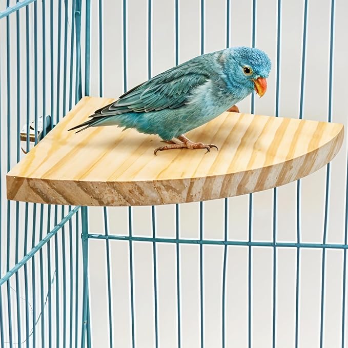 Bird Perch Platform Stand Wooden Parrot Perch Corner 6.7 Inches Fan Shape Playground Cage Accessories Parrot Stand Flat Perches for Bird Cages Corner Shelf for Birds Parrots Hamster Gerbil-PawvioPets