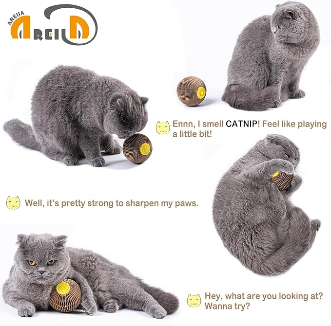 AREIIA Catnip Ball Toy for Cats Catnip Refillable Scratcher Ball Kitty's Faithful Playmate Reduce Obesity and Loneliness CSB01BR-PawvioPets