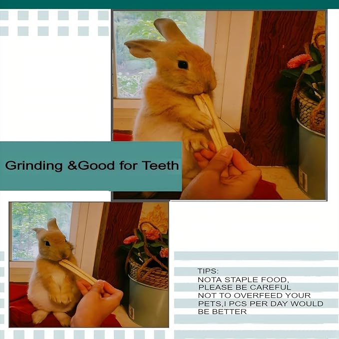 300g Snacks Sweet Bamboo Chew Toy for Rabbits Chew Sticks for Hamster Chinchilla Guinea Pig,Molar Treats Snack for Small Animals-PawvioPets