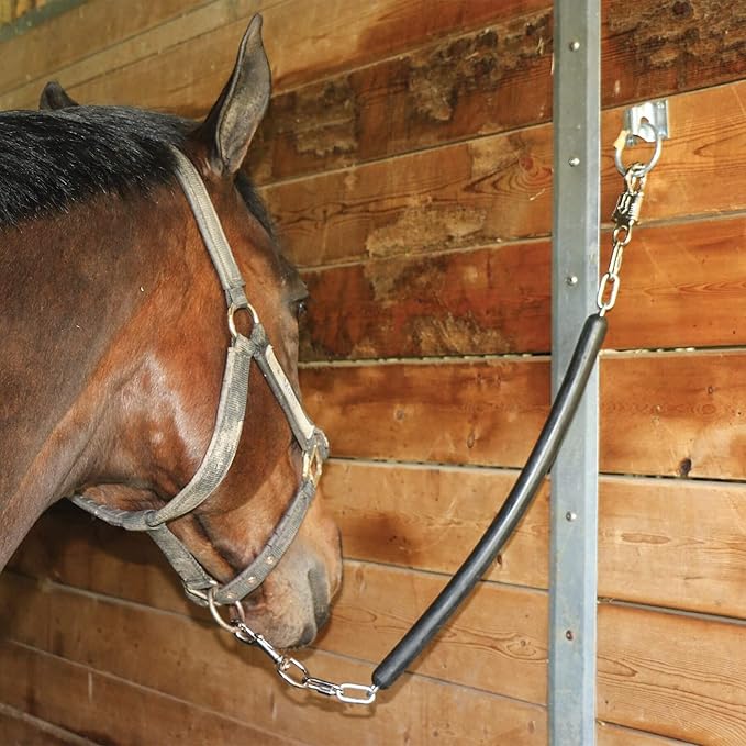 Cross Tie Ring for Horses, Block Tie Ring for Horse Stall/Stable, Tie Down Horse Barn Supplies (2 Pack)-PawvioPets