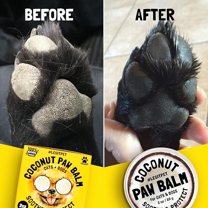 Coconut Paw Balm for Dogs by legitpet-PawvioPets