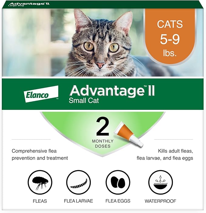 Advantage II Small Cat Vet-Recommended Flea Treatment & Prevention | Cats 5-9 lbs. | 2-Month Supply-PawvioPets