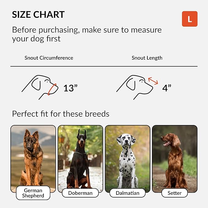 CollarDirect Dog Muzzle German Shepherd Dalmatian Doberman Setter Leather Basket Medium Large Breeds (Black, Large)-PawvioPets