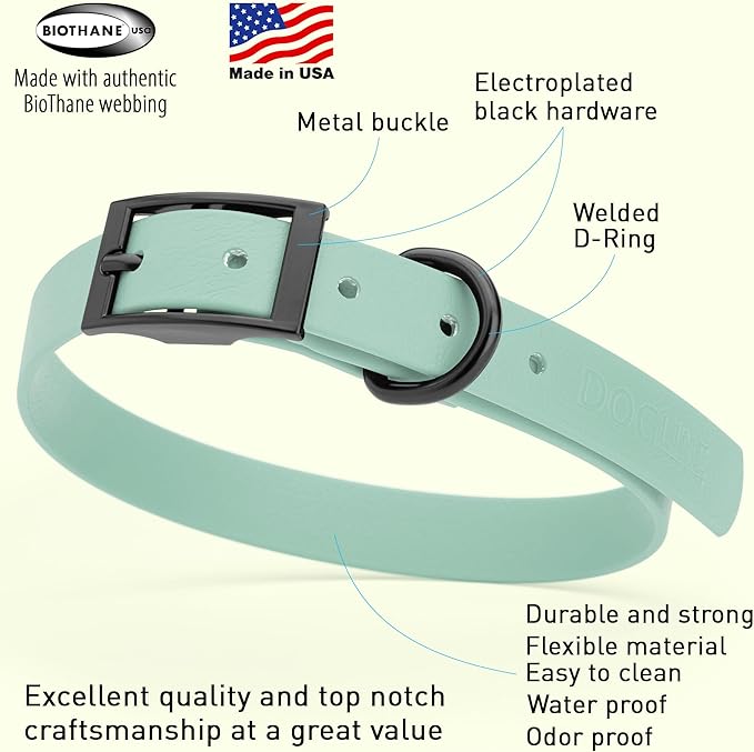 Dogline Biothane Waterproof Dog Collar Strong Coated Nylon Webbing with Black Hardware Odor- Proof for Easy Care Easy to Clean High Performance Fits Small Medium or Large Dogs, Sage Green-PawvioPets