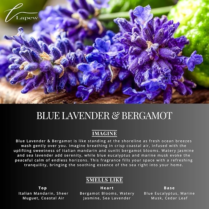 Blue Lavender & Bergamot Carpet Freshener Powder: Powerful Odor Eliminator for Home, Upholstery Deodorizer, Carpet Deodorizer, Pet Urine, Cat Litter Box - Blue Lavender & Bergamot-PawvioPets