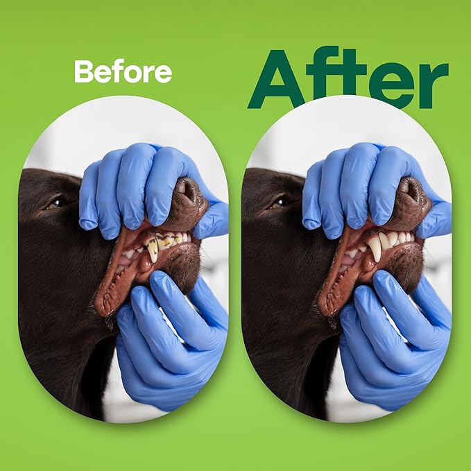 DOCO Dog Teeth Cleaning Wipes Dental Finger Wipes for Cats & Dogs Remove Plaque & Tartar, Freshen Breath, No Rinse, Easy Pet Tooth Cleaning Kit for Oral Care, Coconut & Grapefruit Flavor, 50 Count-PawvioPets