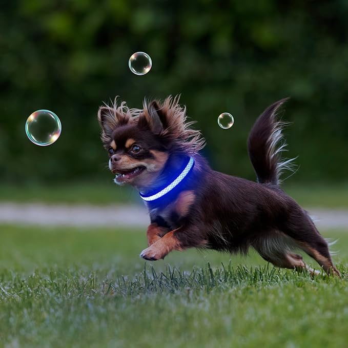 Flashseen LED Cat Collar,Light Up Dog Collar Rechargeable, Dog Lights for Night Walking, Comfortable Soft Mesh Pet Collar Adjustable for Cats Puppy and Small Dogs(Blue, XS)-PawvioPets