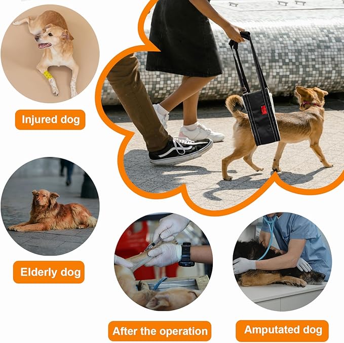 Dog Lift Harness - Adjustable Sling for Rear Legs with Soft Support for Senior, Injured, Disabled Dogs After ACL Surgery - Helping Pets with Canine Aid and Rehab Support (M)-PawvioPets