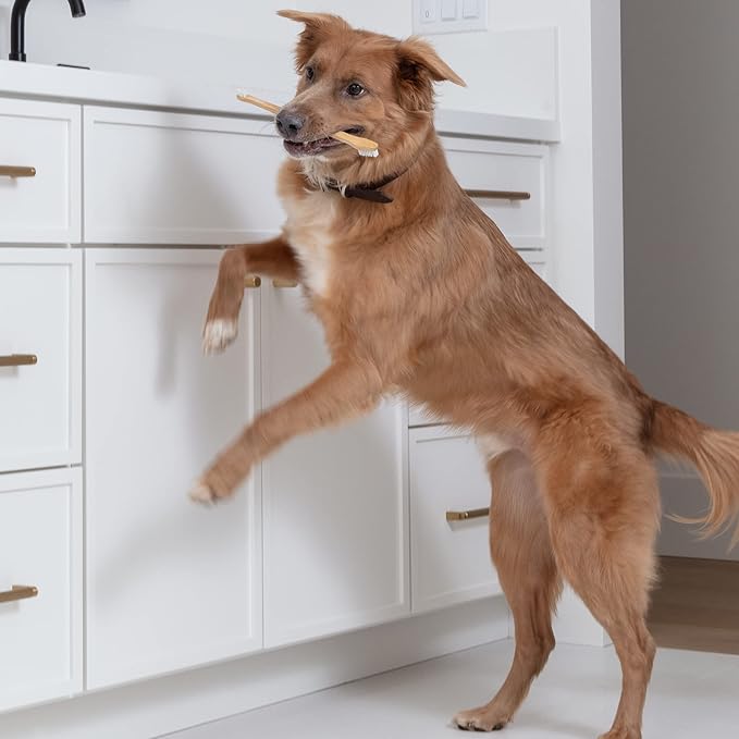 Dog Toothbrush I 4-Pack Two Sided Bamboo Toothbrush for Small and Large Dogs & Cats I Soft Bristles Gentle for Easy Dog Teeth Brushing & Dental Care-PawvioPets