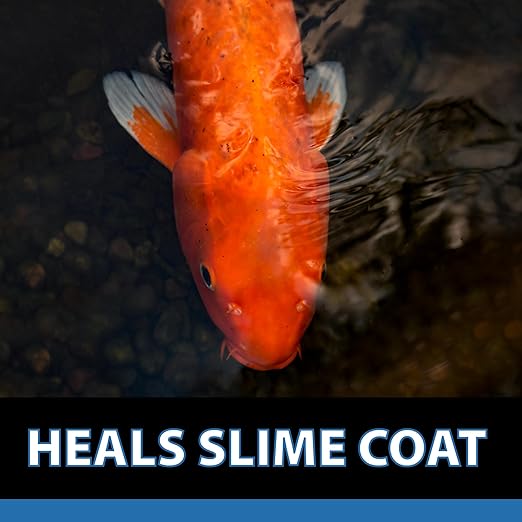 CrystalClear ParaSalt Outdoor Pond & Water Garden Rock Salt Crystals, Fish Parasite Control, Beneficial Stress Reducing & Slime-Coat Treatment, Natural Aquatic Additive, Koi, Plants & Pet Safe, 10 lbs-PawvioPets