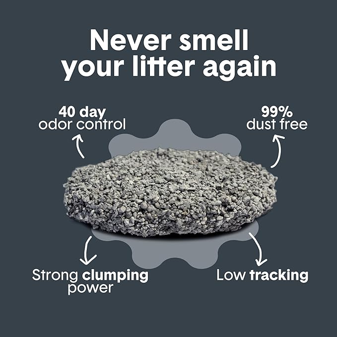 Boxie® Probiotic Cat Litter 40 Day Natural Odor Control, 40lb Clumping Kitty Litter (Clay)-PawvioPets