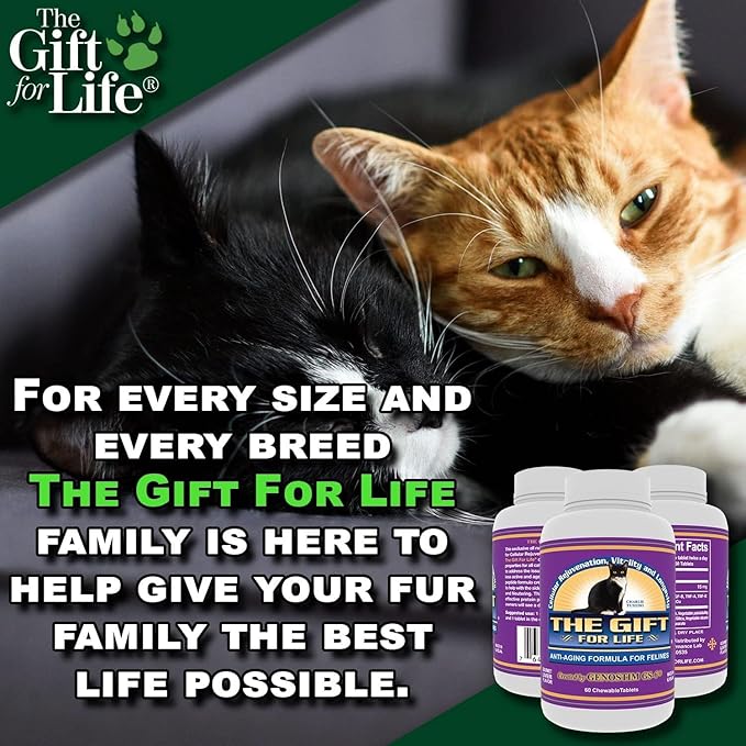 Feline Peptides, Peptides for Cats, Life Extending Cat Supplement, Immune Supplement, Joint Supplement, Skin and Coat Supplement for Cats, 60 Tablets-PawvioPets