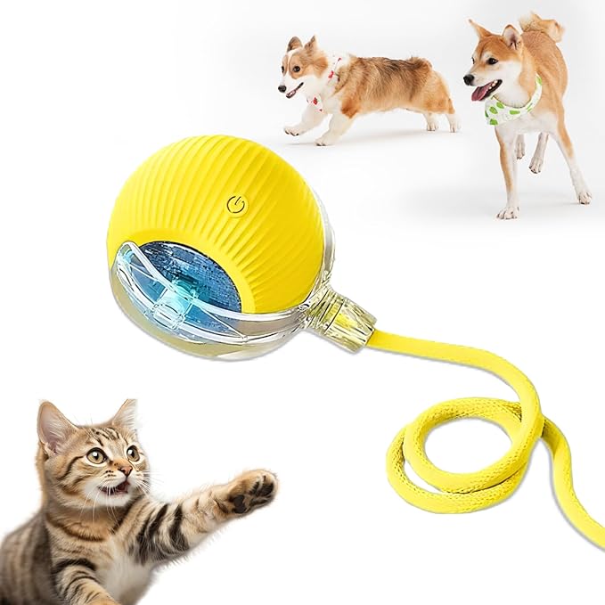 Cat Ball Toy,New Interactive Rolling Cats Dog Toy Balls 360° Smart Automatic Rolling Pet Ball, Fast Moving Toy for Dog,Interactive Toys for Cats (Yellow)-PawvioPets
