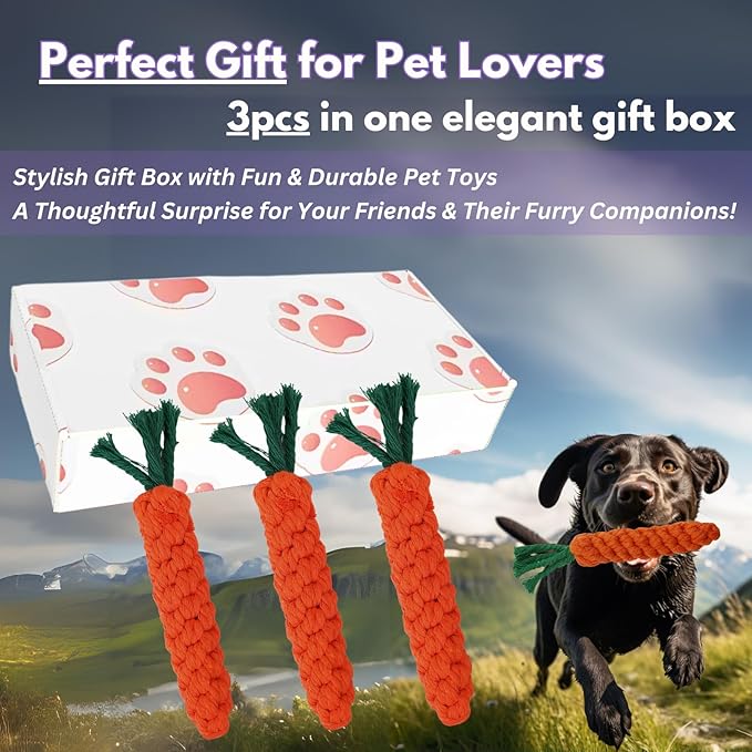 3PCS Orange Woven Pet Chew Set, Puppy Teething Chews, Dog Chew Treats, Cat Teething Playset, Safe Braided Chews for Pets, Durable & Interactive-PawvioPets