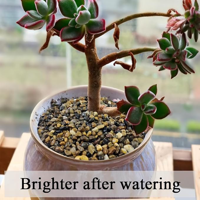 2lbs Fish Tank Rocks, 1/4 Inch Pea Gravel for Fish Tank, Decorative River Rocks for Aquarium Succulent Cactus Plant Vase Fillers Soil Cover and Outdoor Landscaping Stones-PawvioPets