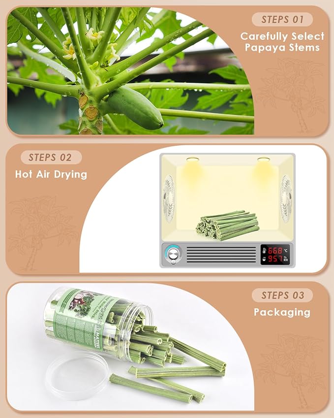 Bissap 50PCS Rabbit Chew Sticks, Natural Papaya Stems Bunny Chews Treats for Rabbits Hamsters Chinchillas Guinea Pigs Small Animals Organic Molar Chewing Snack-PawvioPets