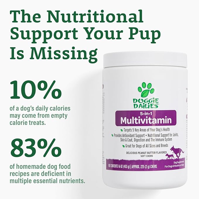 Doggie Dailies 5 in 1 Multivitamin for Dogs, Dog Multivitamin for Skin and Coat Health, Joint Health, Improved Digestion, Antioxidants, Support a Healthy Immune System (Peanut Butter) 225 Soft Chews-PawvioPets