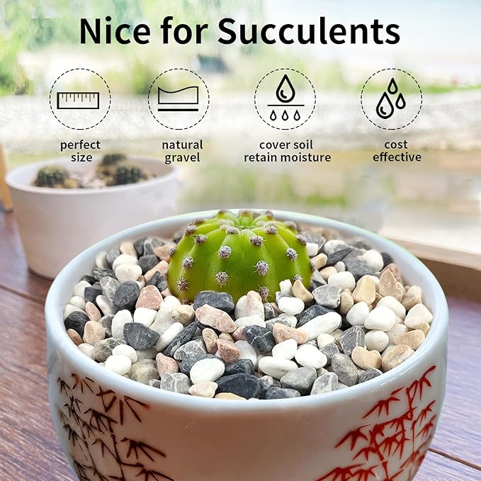 2 lbs Succulent and Cactus Pebbles Gravel, 3/8 Inch Mixed Color Decorative River Rocks for Plants Indoor, Vases, Terrarium, Potted Top Dressing and Outdoor Decorative Stones-PawvioPets