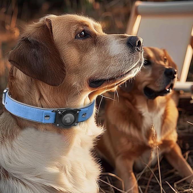 AirTag Dog Collar - Leather Dog Collar with Air Tag Holder | IPX8 Waterproof, Reflective, High - End, Adjustable Soft Padded | Dog GPS Tracker Collars Fit for Medium Large Dogs (Blue, L)-PawvioPets